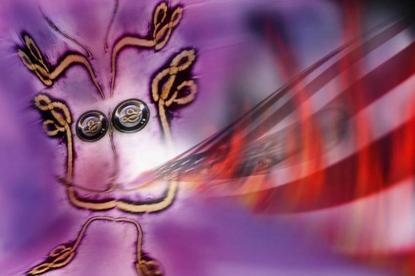 Capitan America si è alleato al sig Ebola ,adesso si fumano un po di neri.americani....