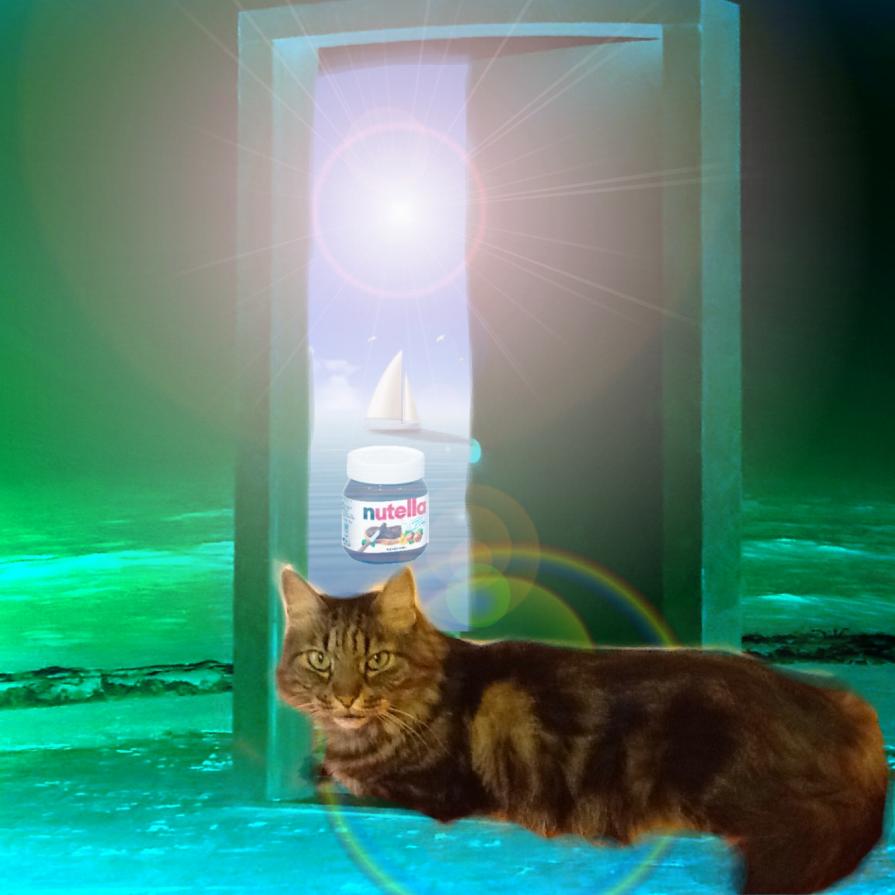 MI DÀ SEMPRE UN BRIVIDO QUANDO OSSERVO IL MIO ISIDORO CHE STA OSSERVANDO QUALCOSA CHE IO NON RIESCO A VEDERE !!! MI DÀ SEMPRE UN BRIVIDO QUANDO OSSERVO IL MIO ISIDORO CHE STA OSSERVANDO QUALCOSA CHE IO NON RIESCO A VEDERE !!!