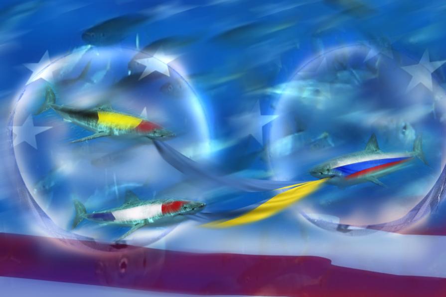 in attesa che i pescicani facciano pulizia.solo per interessi di petrolio o gas.???