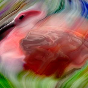 gita allo zoo.che ti incontro un nido di colori.