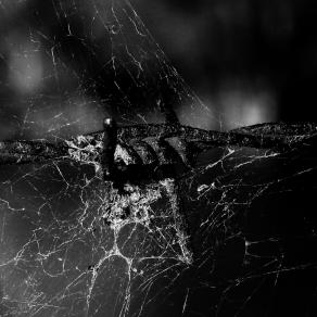 Il tempo ci farà liberi 