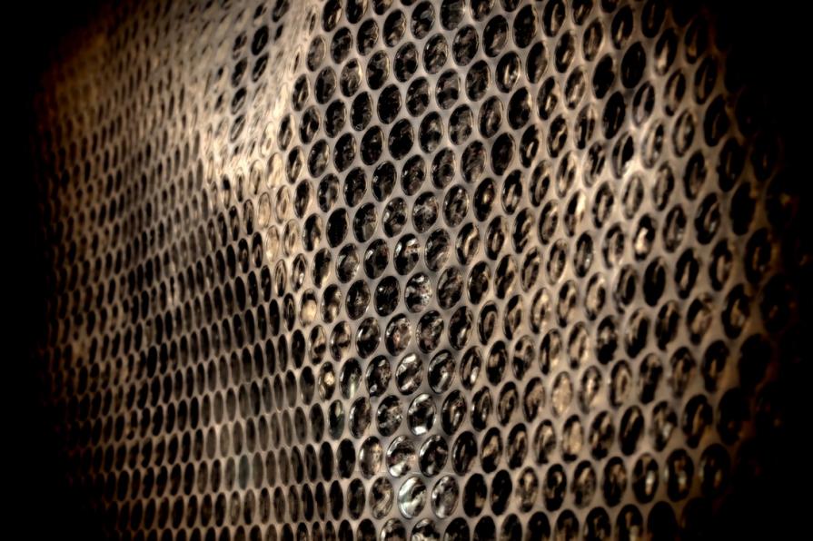 Cellular organization 