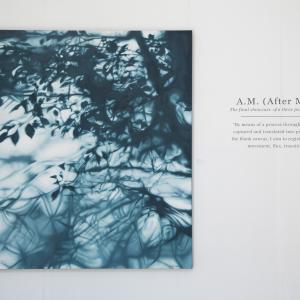 After Midnight, morning comes (Installation view at the A.M. After Midnight exhibition, Johannesburg, 2015) After Midnight, morning comes (Installation view at the A.M. After Midnight exhibition, Johannesburg, 2015)