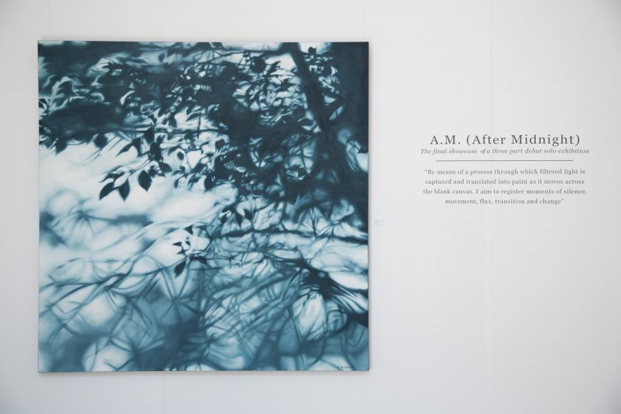 After Midnight, morning comes (Installation view at the A.M. After Midnight exhibition, Johannesburg, 2015)