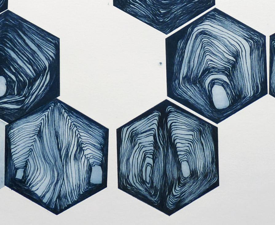 Pixelized turtle detail