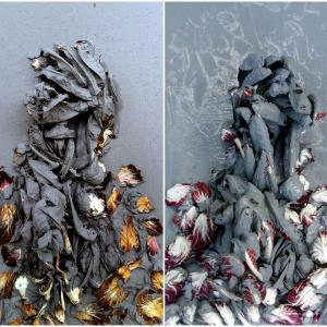 il generale il generale