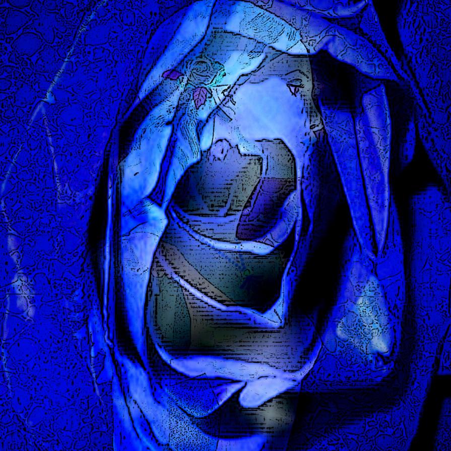 E' IL TEMPO  CHE HAI PERDUTO PER LA TUA ROSA CHE HA FATTO LA TUA ROSA COSI' IMPORTANTE !!!