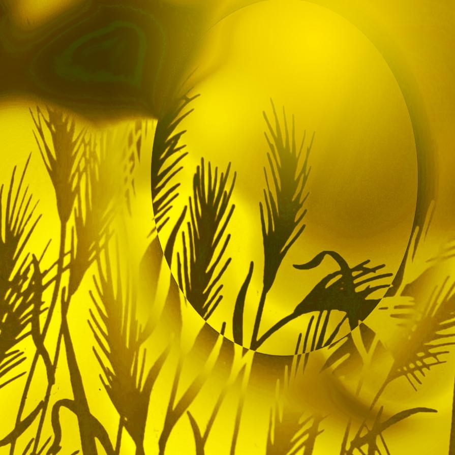 . . . Il grano d'estate è d'oro !!! . . . 