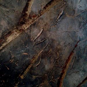 Particolari. Olio su tavola. Particolari. Olio su tavola.