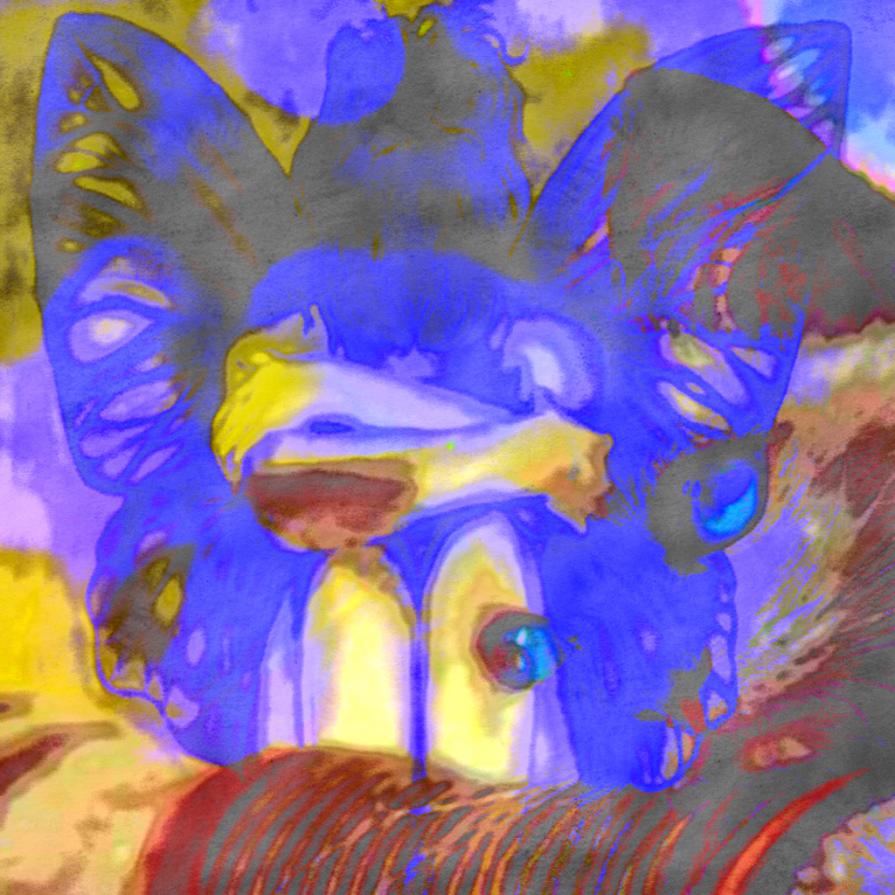 Come possiamo dire che sarà per sempre ???