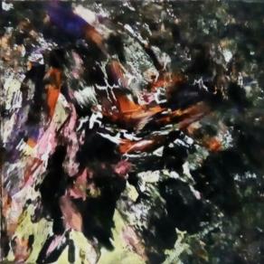 Scontri in Amazzonia