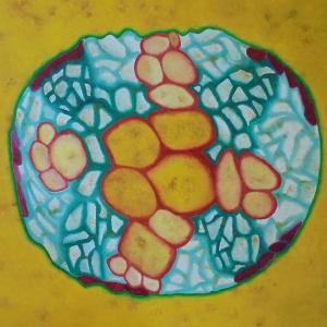 La Natura Morta ed.2016