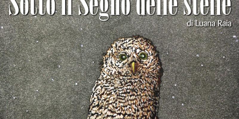 Under the Sign of the Stars Under the Sign of the Stars