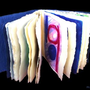 Bologna Artelibro 2011 -  the eighth edition  PINA DELLA ROSSA