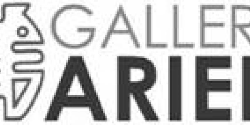 dal declino concettuale al rigore del senso