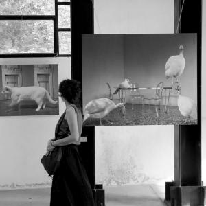 Food Culture e Slow Art | l'arte che rappresenta il gusto Food Culture e Slow Art | l'arte che rappresenta il gusto