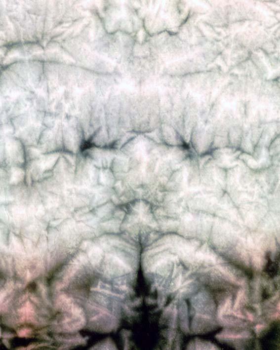 Il Principio della Manifestazione - Creazione della donna