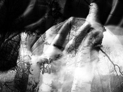 My body landscapes My body landscapes