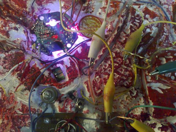 e-pintura demencial e-pintura demencial