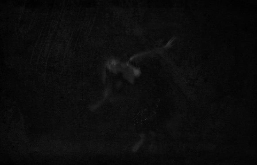 La veste di iside (il volo)