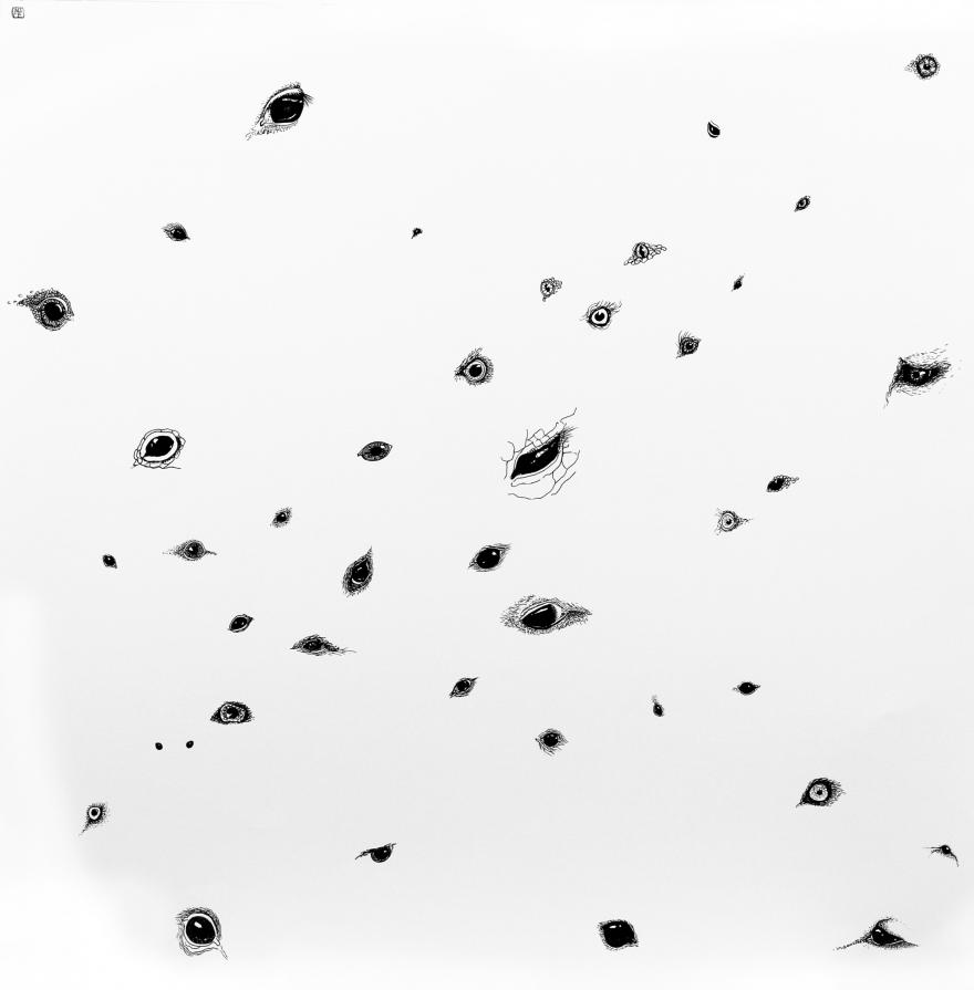 ATLAS DES YEUX ATLAS DES YEUX