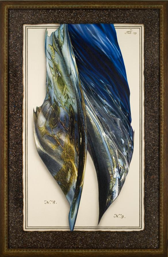 Gyre Pacifica: Waterform_1 Gyre Pacifica: Waterform_1