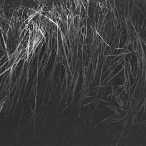 Between Worlds Between Worlds