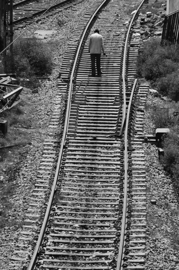 Rail of life - Temporary solitudes