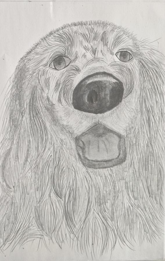 .....La fedeltà di un cane non conosce limiti...né tempo... 