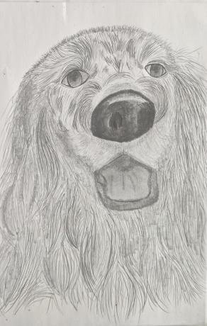 .....La fedeltà di un cane non conosce limiti...né tempo... 