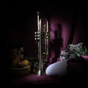 Musical Visions Musical Visions