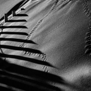 Exposition internationale de photographies Exposition internationale de photographies