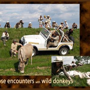 Etrarte segnala: Trivignano Dreams by Persisters a Krossing, Immaginodromo, evento collaterale della 53. Esposizione Internazionale d’Arte della Biennale di Venezia Etrarte segnala: Trivignano Dreams by Persisters a Krossing, Immaginodromo, evento collaterale della 53. Esposizione Internazionale d’Arte della Biennale di Venezia