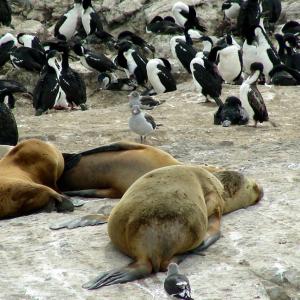 Argentina, Patagonia