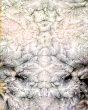 Il Principio della Manifestazione - Serpente