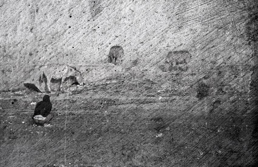 Natura Viva Natura Viva