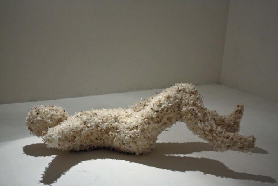 Kill PIL (particolare della videoinstallazione)