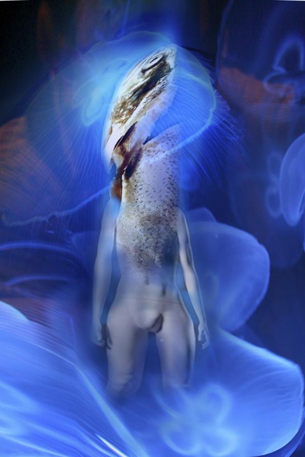 come secondo del pesce