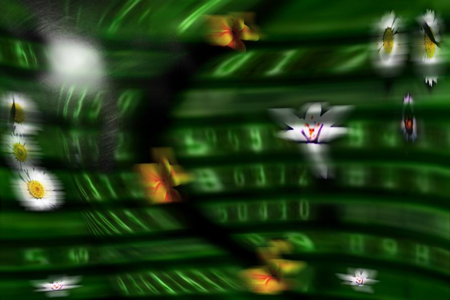 new genetation. di figli dei figli dei fiori.