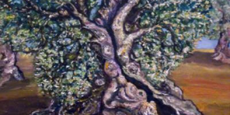 Trees, only trees, loved trees