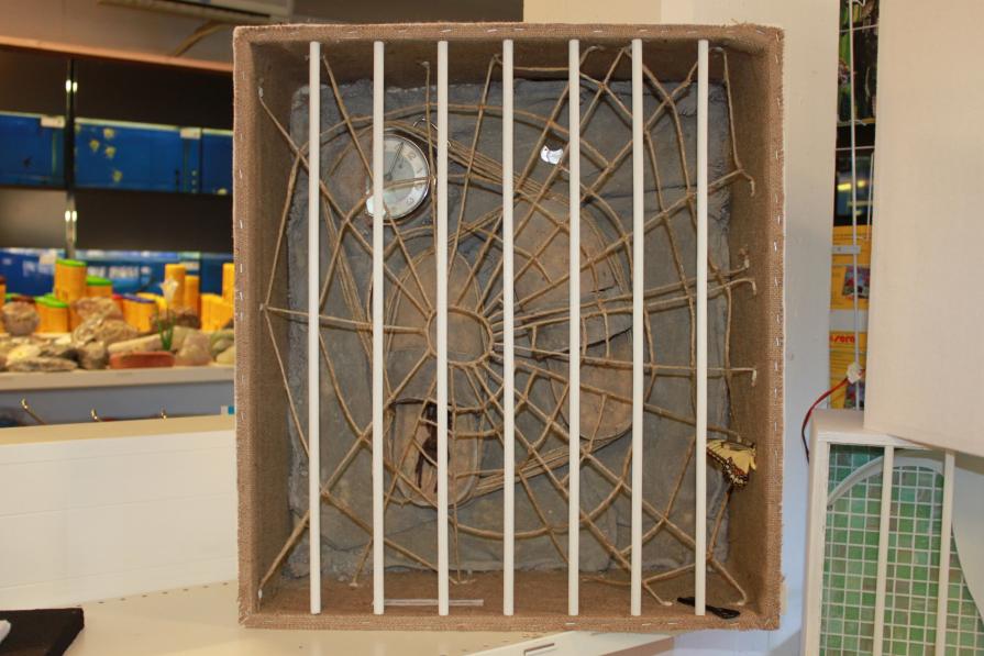 la mia anima è una farfalla