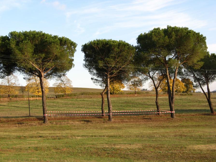 Paradies/Paradise/Paradiso