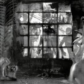 UNA DONNA OSSERVA UN RITO INIZIATICO - A WOMAN OBSERVE A INITIATION RITE