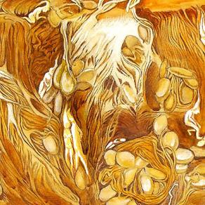 Invisibile e non invisibile