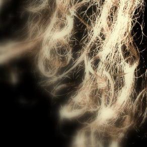 In faccia a prima vista