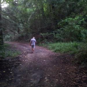 un sentiero dove correre senza paure anche in città (foto GiuliArt)