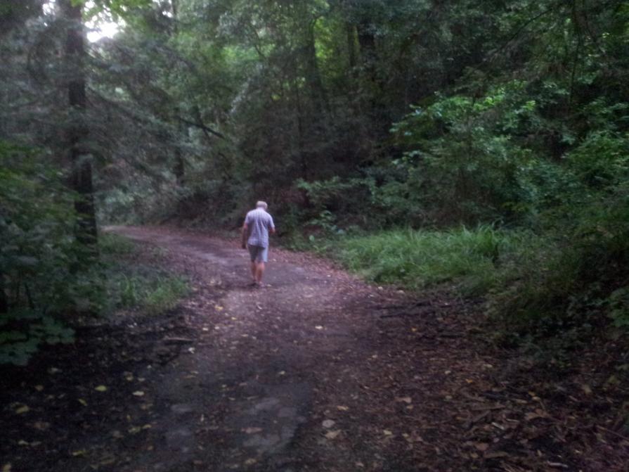 un sentiero dove correre senza paure anche in città (foto GiuliArt)