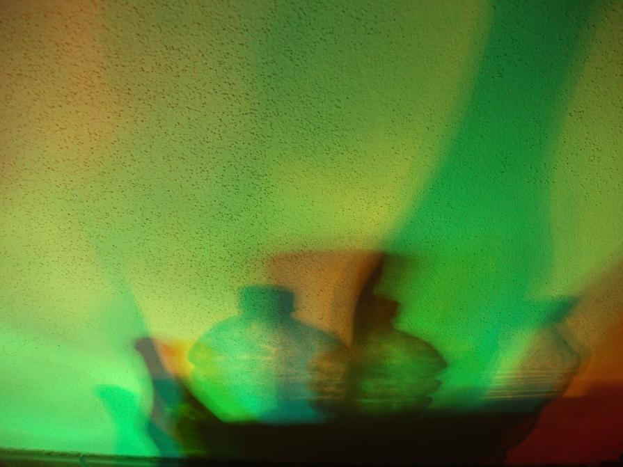 I colori della biodiversità -2015-omaggio a Giorgio Morandi