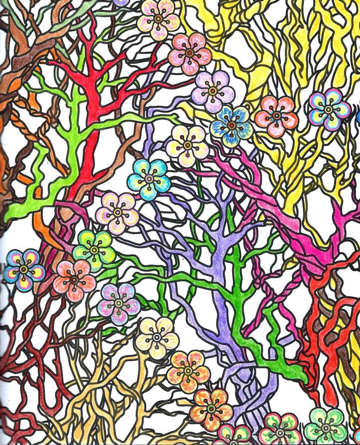 COLORIAMO IL NATALE 18...!!!