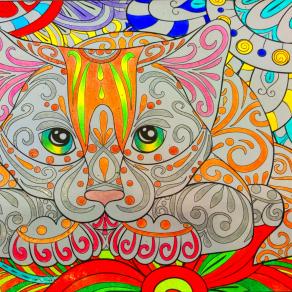 Instinto felino...!!!